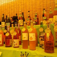 梅酒全国制覇